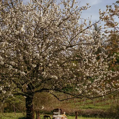 Apartmán Le Des Jardins De Lumiere