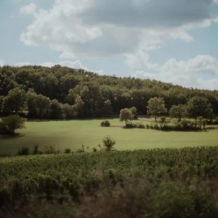 Le Des Jardins De Lumiere *