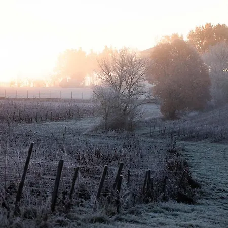 Le Des Jardins De Lumiere Apartmán