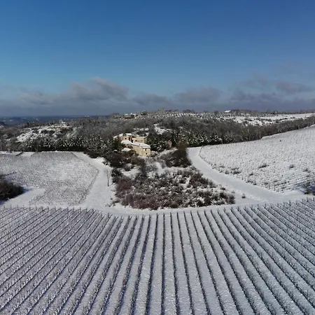 Le Des Jardins De Lumiere