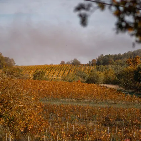 Apartmán Le Des Jardins De Lumiere *