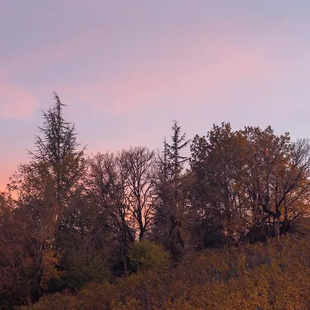 Apartmán Le Des Jardins De Lumiere