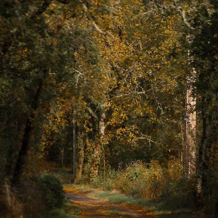 Lägenhet Le Des Jardins De Lumiere *