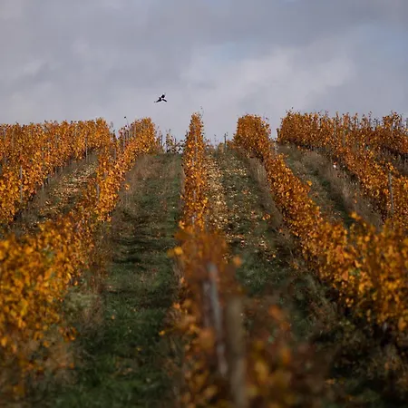 Le Des Jardins De Lumiere Lägenhet *