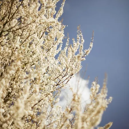 Apartmán Le Des Jardins De Lumiere