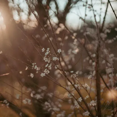 Apartmán Le Des Jardins De Lumiere Floressas