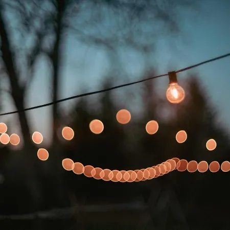 Le Des Jardins De Lumiere Floressas