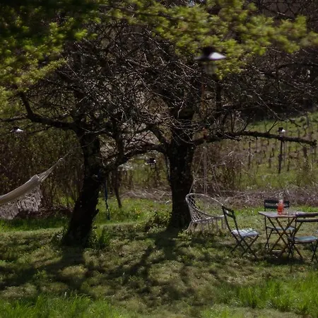 Appartement Les Jardins De Lumiere *