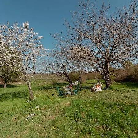 Appartement Les Jardins De Lumiere Floressas