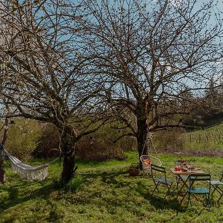 Les Jardins De Lumiere Appartement Floressas