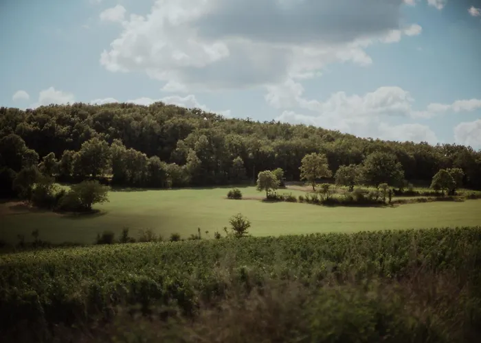 Le Des Jardins De Lumiere *