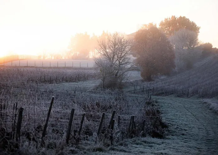 Le Des Jardins De Lumiere Apartment