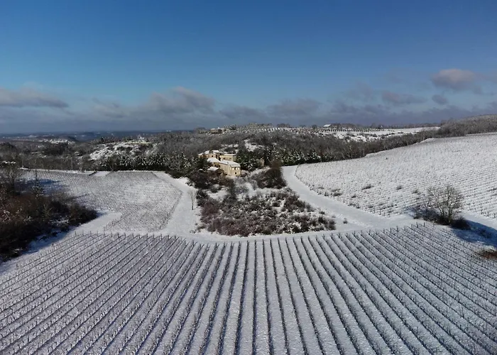 Le Des Jardins De Lumiere
