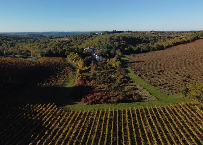Apartment Le Des Jardins De Lumiere