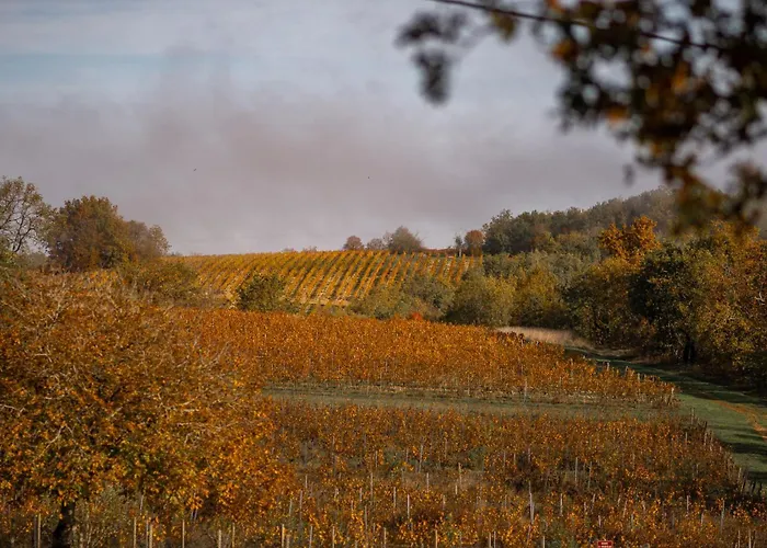Apartment Le Des Jardins De Lumiere *