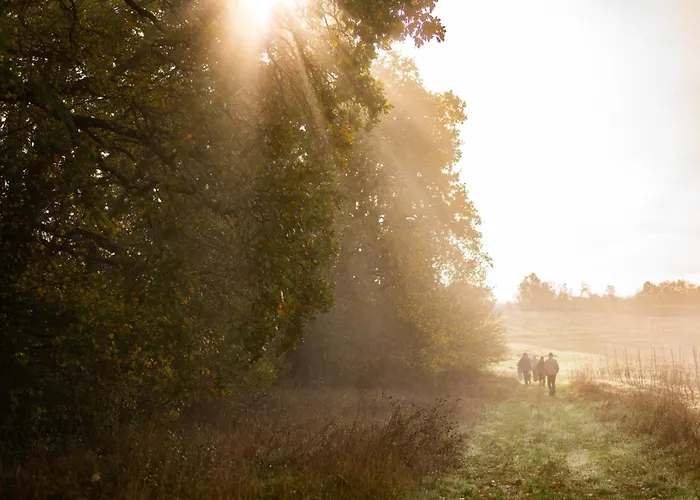 Apartment Le Des Jardins De Lumiere Floressas