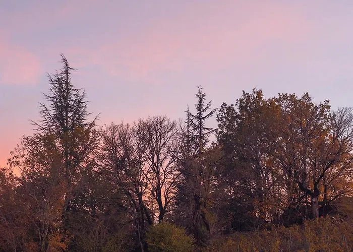 Appartement Le Des Jardins De Lumiere