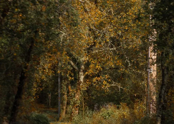 Appartement Le Des Jardins De Lumiere *