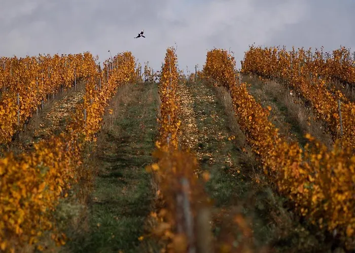Le Des Jardins De Lumiere Apartment *
