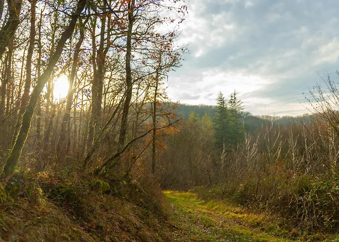 Lejlighed Le Des Jardins De Lumiere *