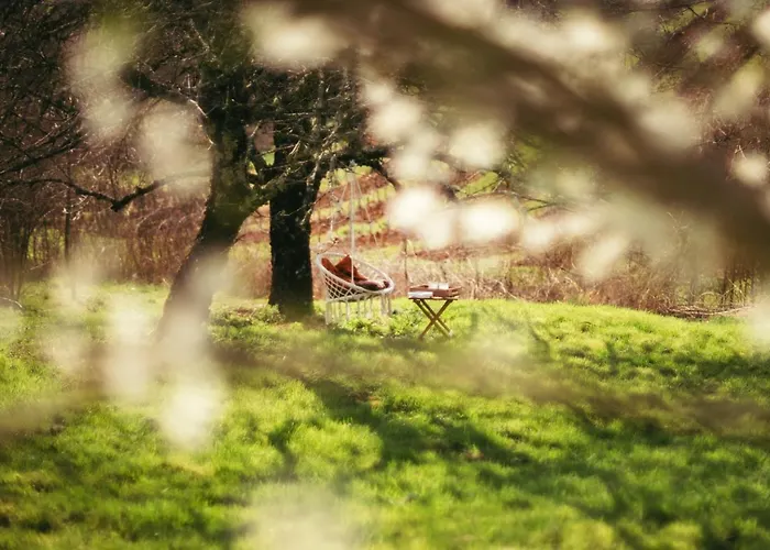 Le Des Jardins De Lumiere