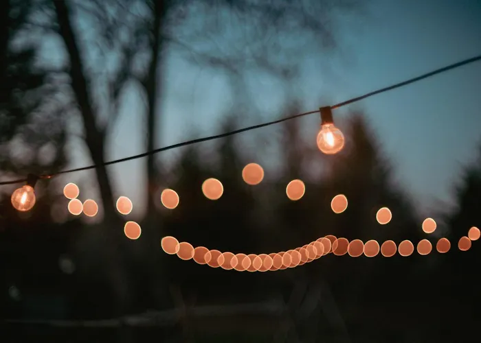 Le Des Jardins De Lumiere Floressas